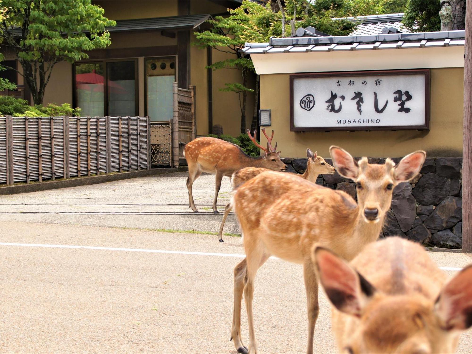 โคโตโนยาโดะ มูซาชิโนะ Hotel นารา ภายนอก รูปภาพ